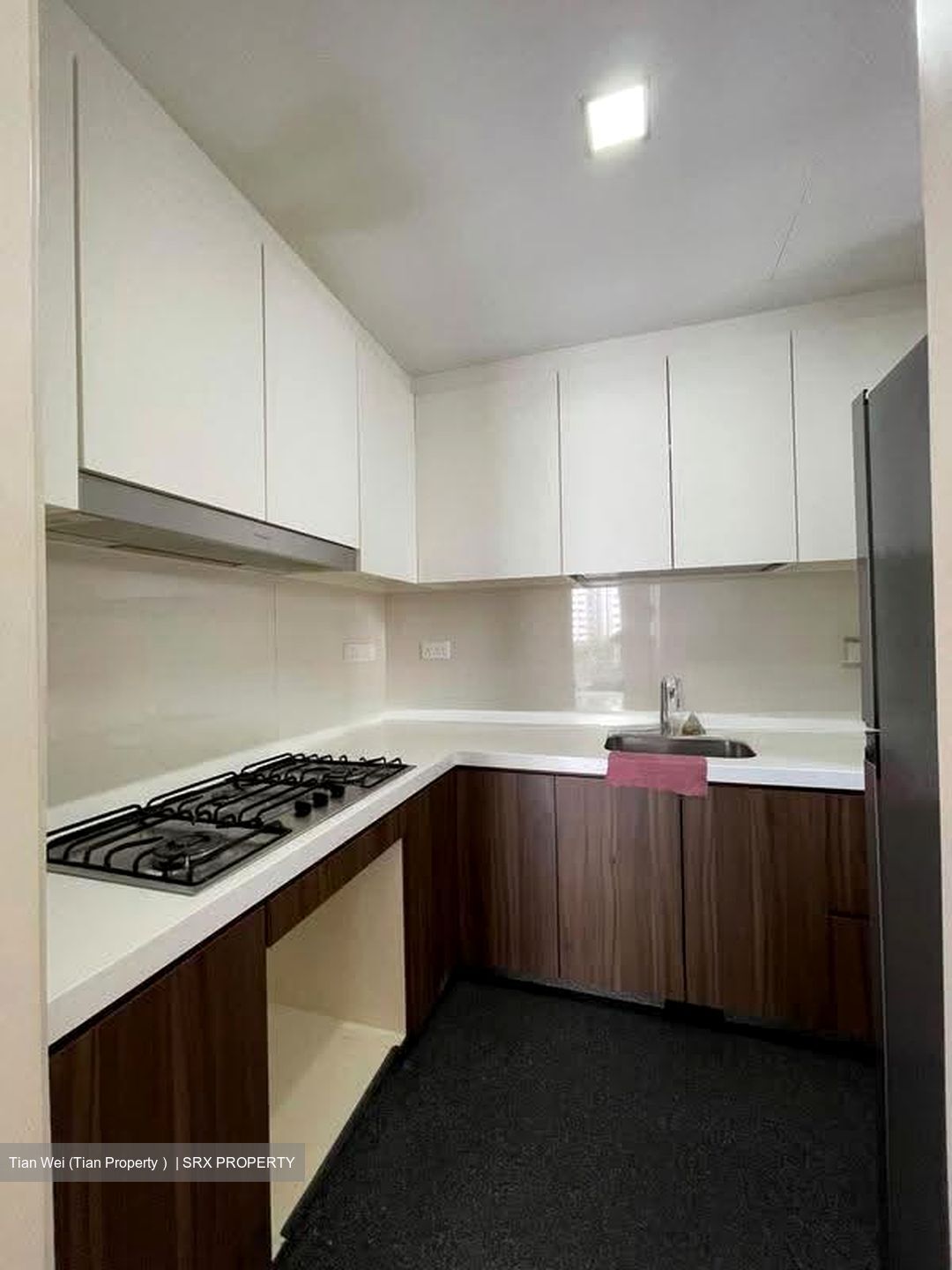 Riversound Residence (D19), Condominium #618921491